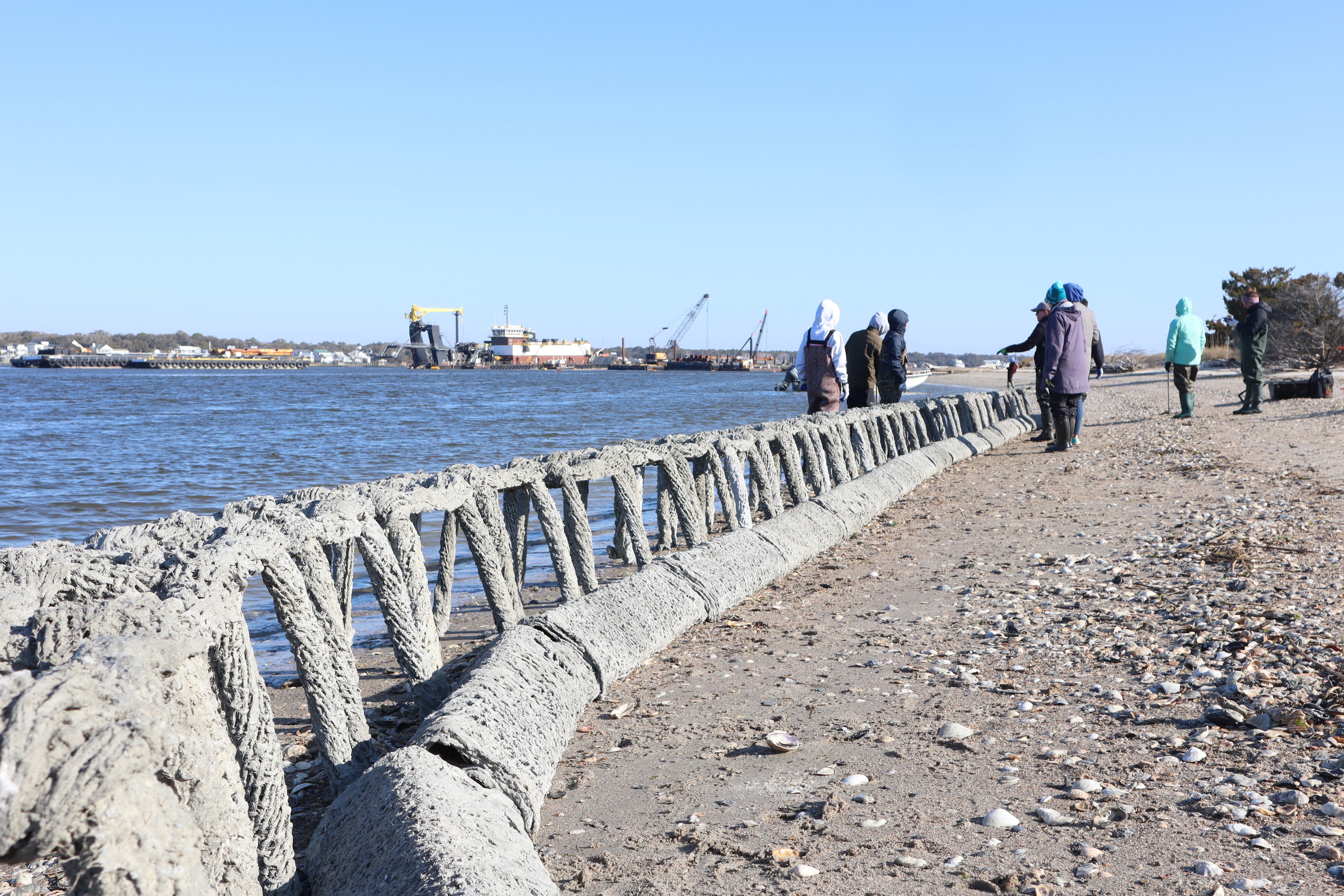Living shoreline instillation. Photo: Brittany Salmons/Audubon
